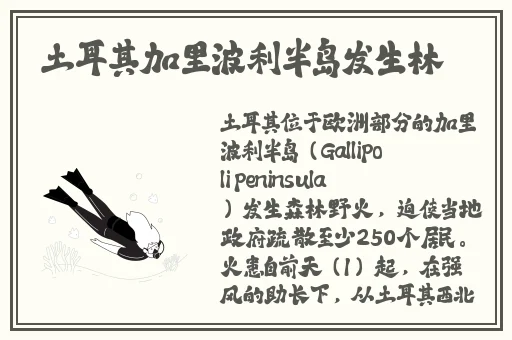 羞羞漫画 在线观看入口